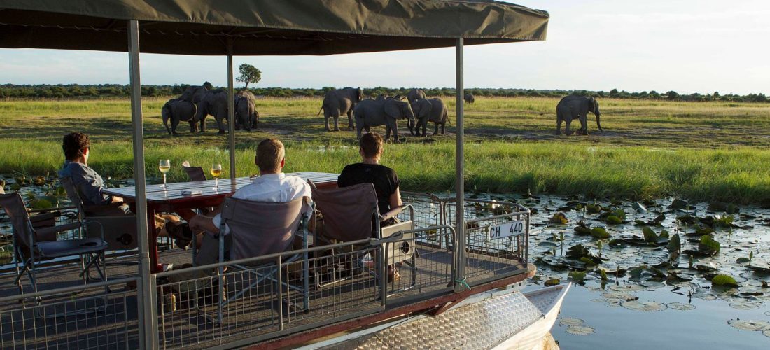 hotel-chobe-game-lodge-botswana