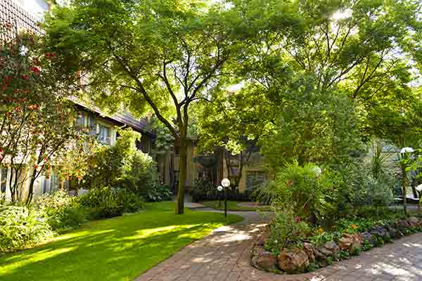 Tree lined pathway of Protea Hotel Balalaika