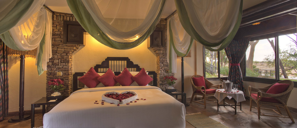hotel room with a heart made of two towels on the bed filled with rose petals