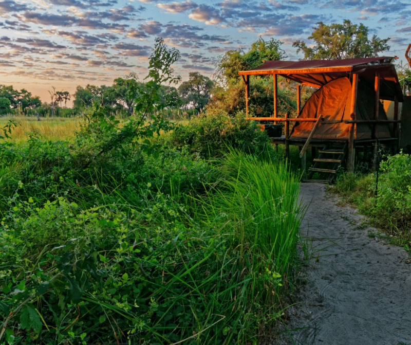 Okavango Delta, Botswana , Top 10 Places to Visit in Africa