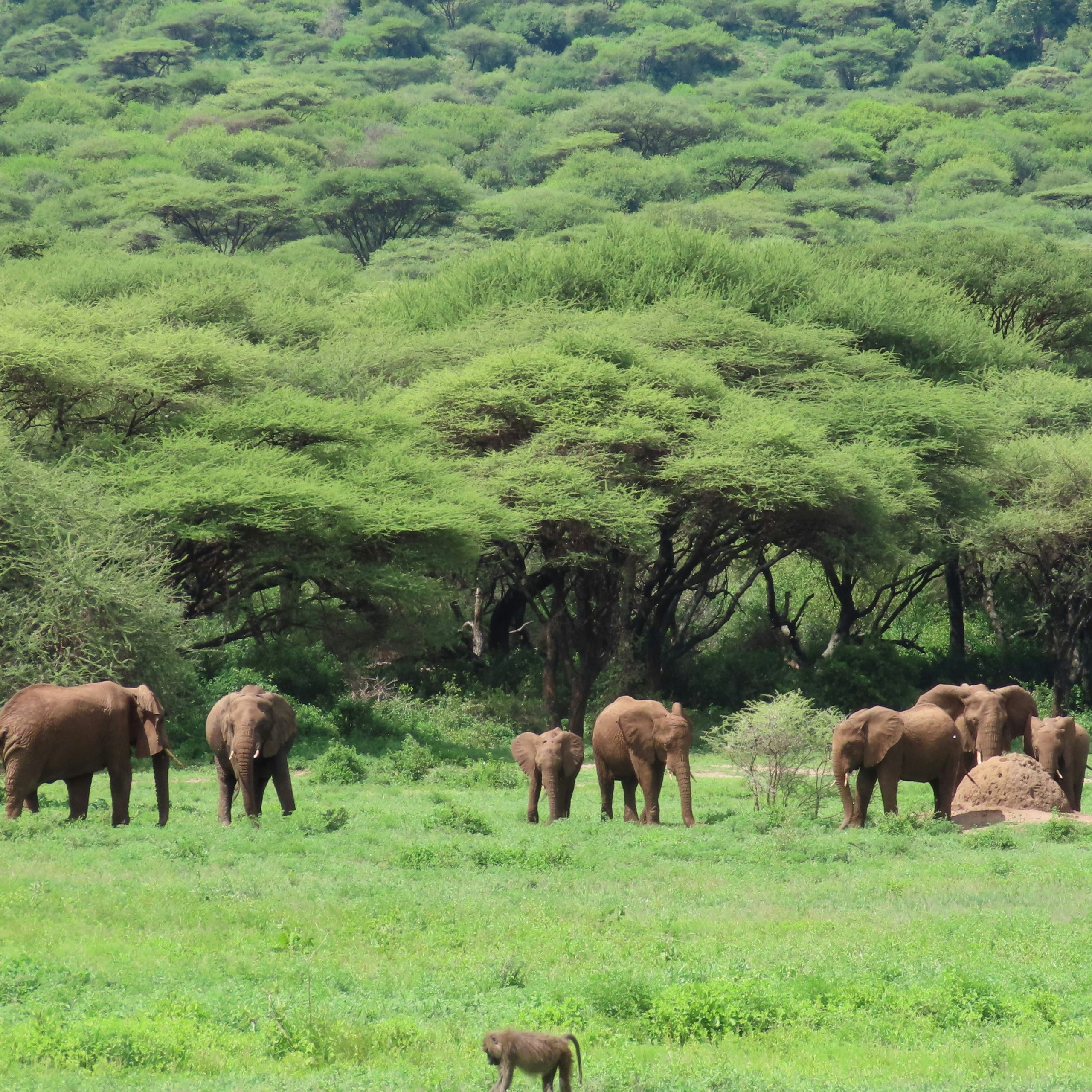 Tanzania