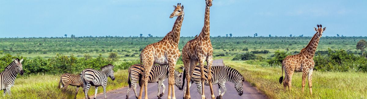 The Best Countries in Africa for First-Time Travelers