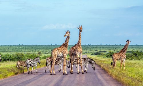 The Best Countries in Africa for First-Time Travelers