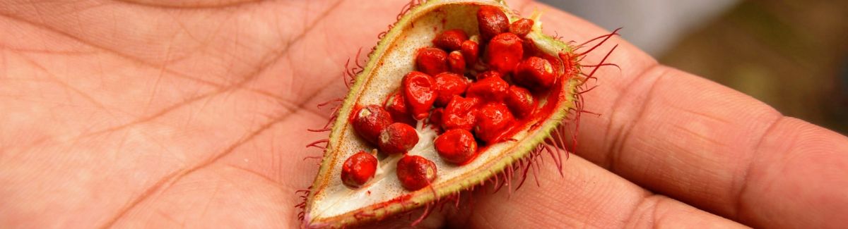 The Spicy History of Zanzibar's Trade Route Past