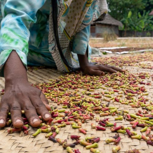 The Spicy History of Zanzibar's Trade Route Past