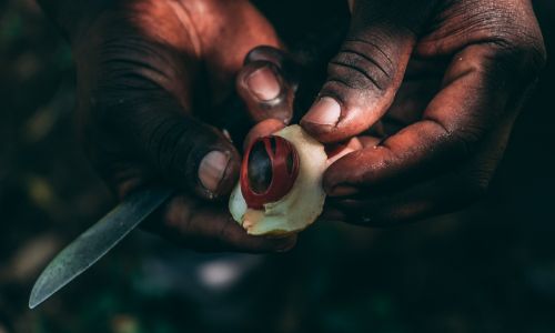 The Spicy History of Zanzibar's Trade Route Past