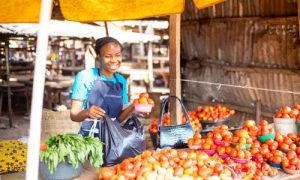 When Should You Go? A Seasonal Guide to Nigeria