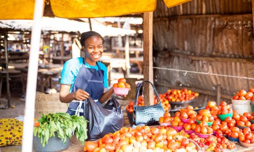 When Should You Go? A Seasonal Guide to Nigeria