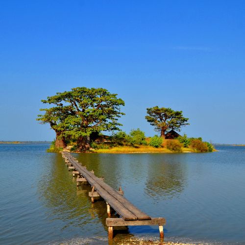 Kayaking Routes Through the Sine-Saloum Delta
