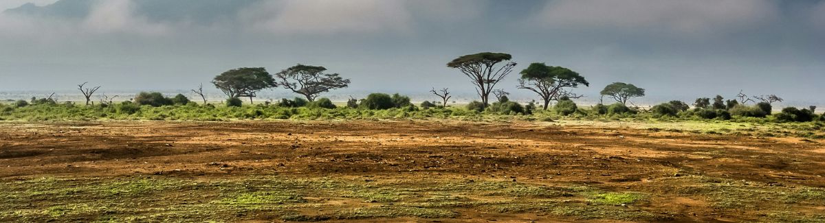 Africa’s Top Birdwatching Destinations in Winter Months