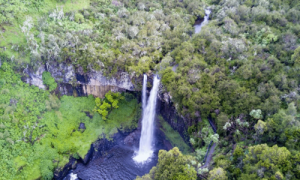 Beyond the Safari: Kenya’s Aberdare Mountains - 10 Things to Know in 2026