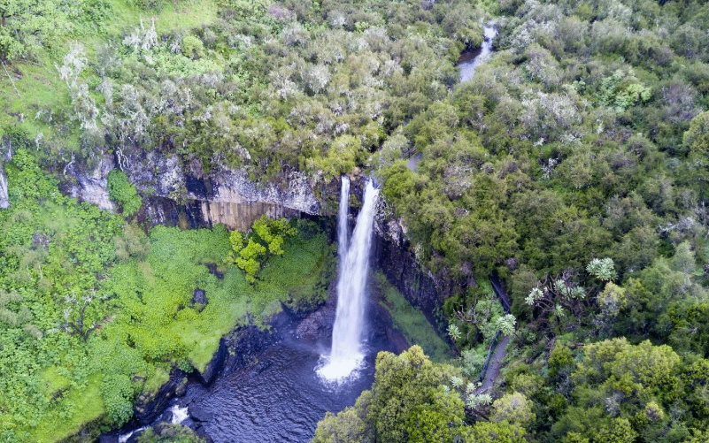 Aberdare Mountain Ranges Kenya