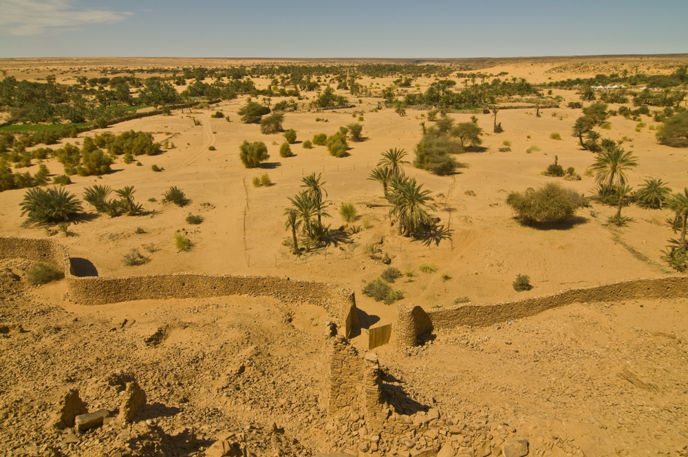 Senegal Travel Guide 2027 And Why to Add Mauritania