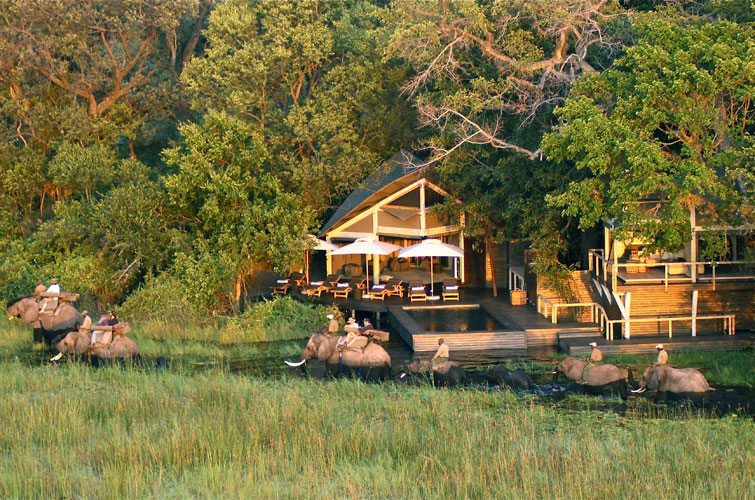 View of Abu Camp Maun