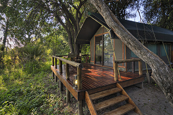 View of Camp Okavango