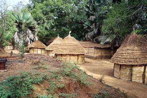 View of Campement du Lion