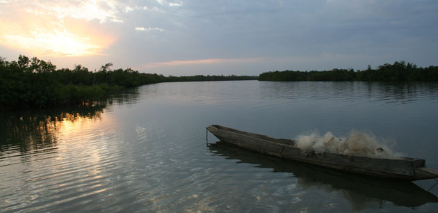 A boat filled with fishing equipment in water - Discover The Gambia