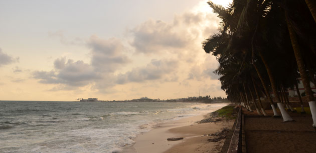 A beach with large palm trees leaning toward the water - Explore Ghana & Cote D’Ivoire