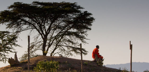 A man in red sitting under a tree on a hill - Kenya & Tanzania Highlights
