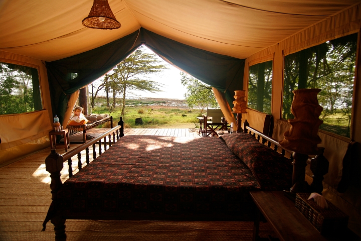 Tented room with one bed