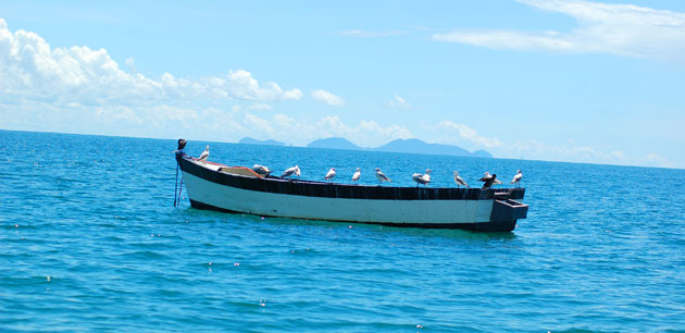 An anchored boat with seagulls sitting in it