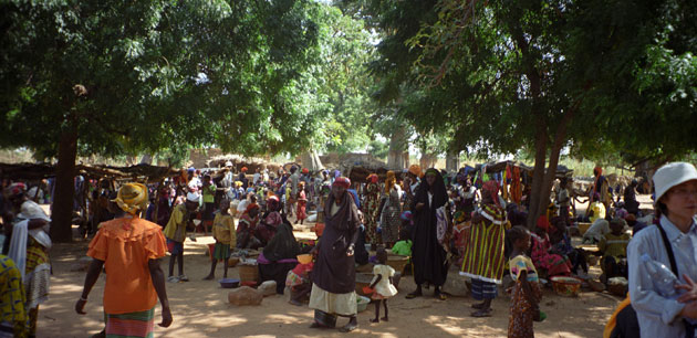 A large group of people walking under trees - Bamako and Siby