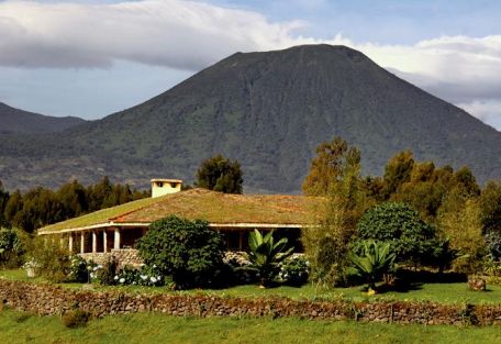 View of Mountain Gorillas Nest