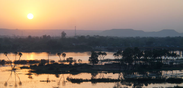 Trees in a swamp area being silhouetted by the sunset - Aïr-Ténéré-Djado