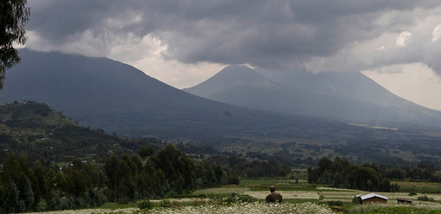 Farms underneath large storm clouds - A taste of Rwanda