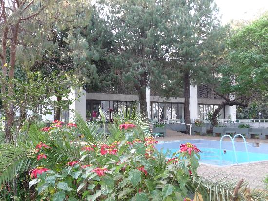 Outdoor pool area of Tana Hotel