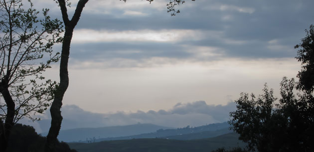 Silhouetted trees against a rainy sky - Uganda - Africa's Pearl