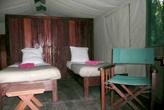 Tented room with two beds