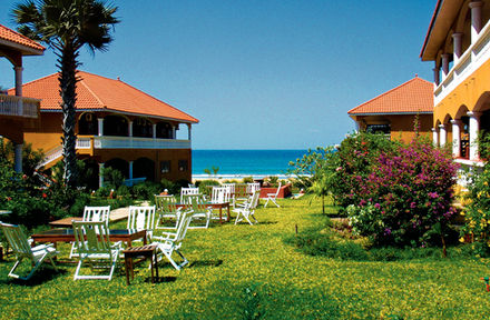 Outdoor area of Lemon Creek Resort